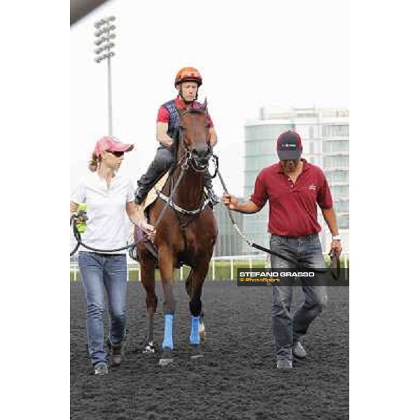 Felix Coetzee on Rocket Man Meydan - morning track works Dubai, 29th march 2012 ph.Stefano Grasso