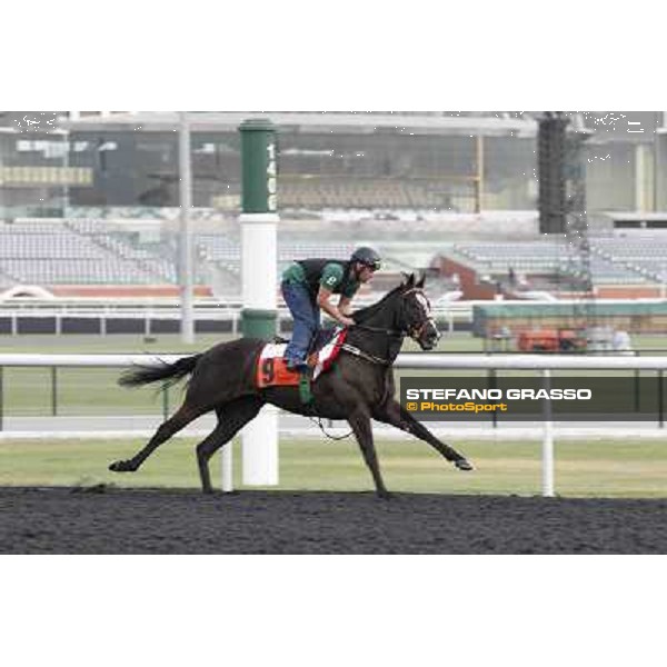 Sole Power Meydan - morning track works Dubai, 29th march 2012 ph.Stefano Grasso