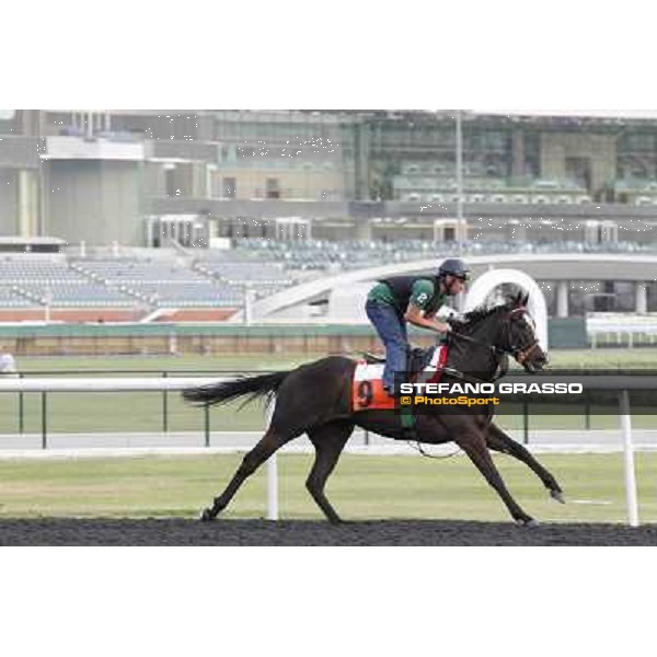 Sole Power Meydan - morning track works Dubai, 29th march 2012 ph.Stefano Grasso