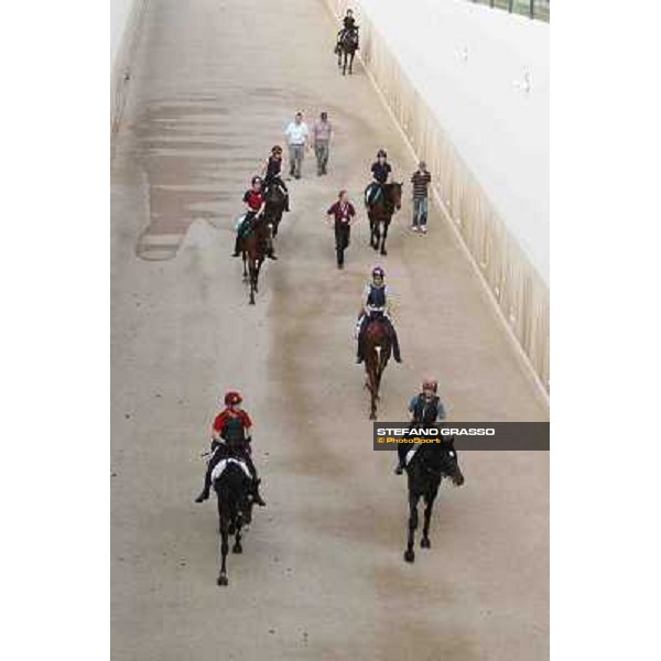 So You Think leads the Aidan O\'Brien team coming back home Meydan - morning track works Dubai, 29th march 2012 ph.Stefano Grasso