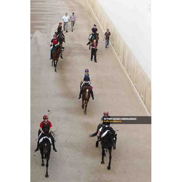 So You Think leads the Aidan O\'Brien team coming back home Meydan - morning track works Dubai, 29th march 2012 ph.Stefano Grasso