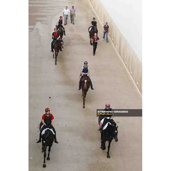 So You Think leads the Aidan O\'Brien team coming back home Meydan - morning track works Dubai, 29th march 2012 ph.Stefano Grasso