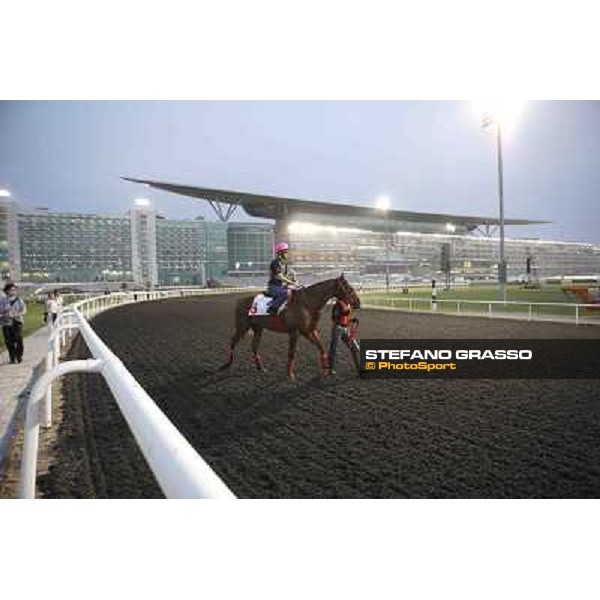 Yutaka Take on Smart Falcon Meydan - morning track works Dubai, 29th march 2012 ph.Stefano Grasso