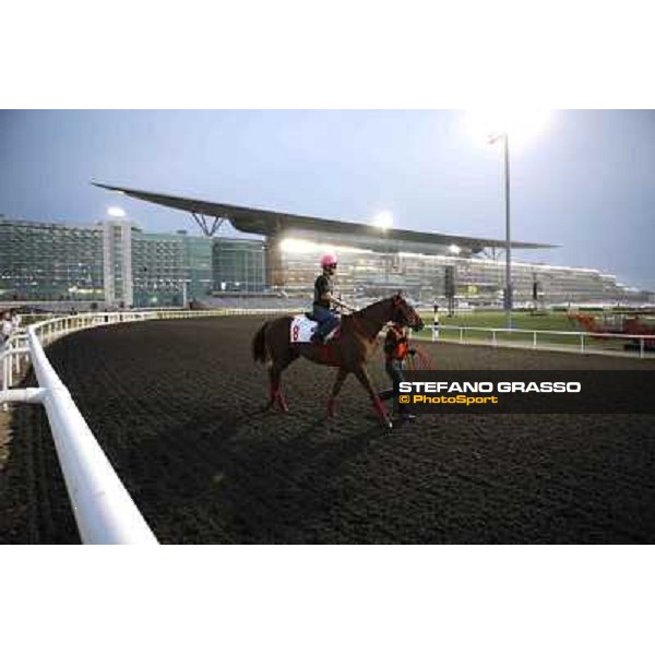 Yutaka Take on Smart Falcon Meydan - morning track works Dubai, 29th march 2012 ph.Stefano Grasso