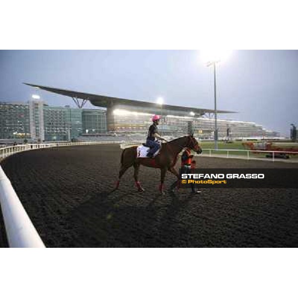 Yutaka Take on Smart Falcon Meydan - morning track works Dubai, 29th march 2012 ph.Stefano Grasso