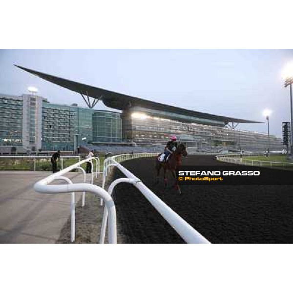 Yutaka Take on Smart Falcon Meydan - morning track works Dubai, 29th march 2012 ph.Stefano Grasso