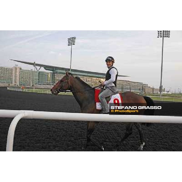 Olivier Peslier on Zazou Meydan - morning track works Dubai, 29th march 2012 ph.Stefano Grasso