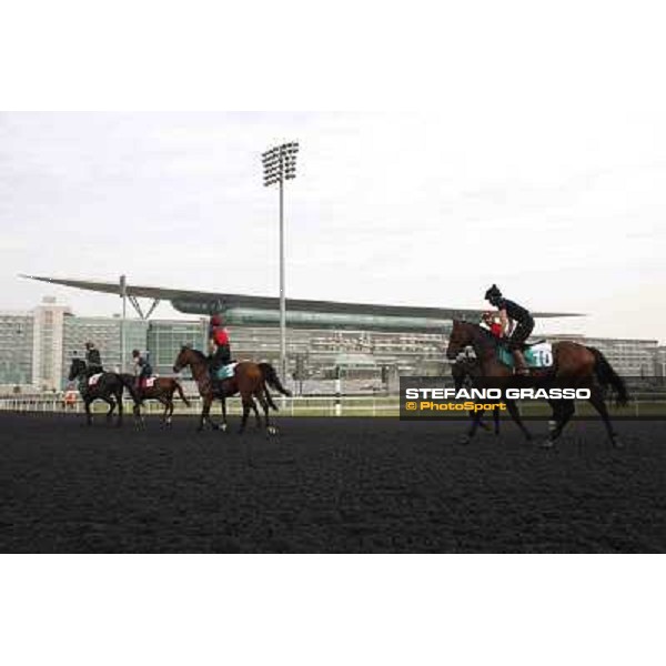 So You Think leads the Aidan O\'Brien team Meydan - morning track works Dubai, 29th march 2012 ph.Stefano Grasso