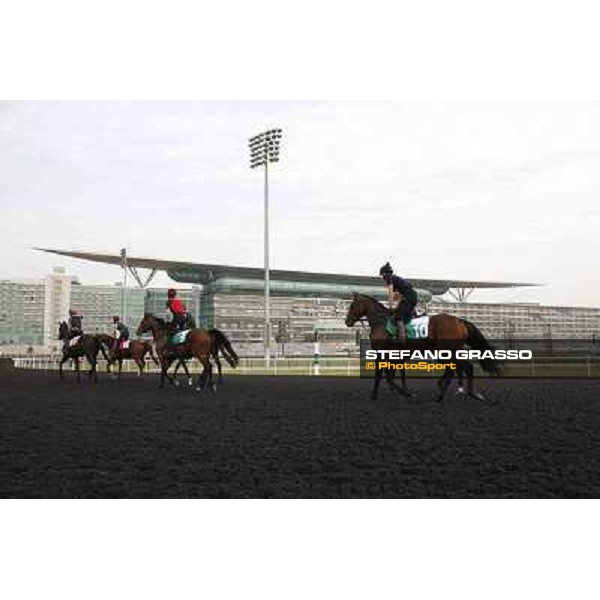 So You Think leads the Aidan O\'Brien team Meydan - morning track works Dubai, 29th march 2012 ph.Stefano Grasso