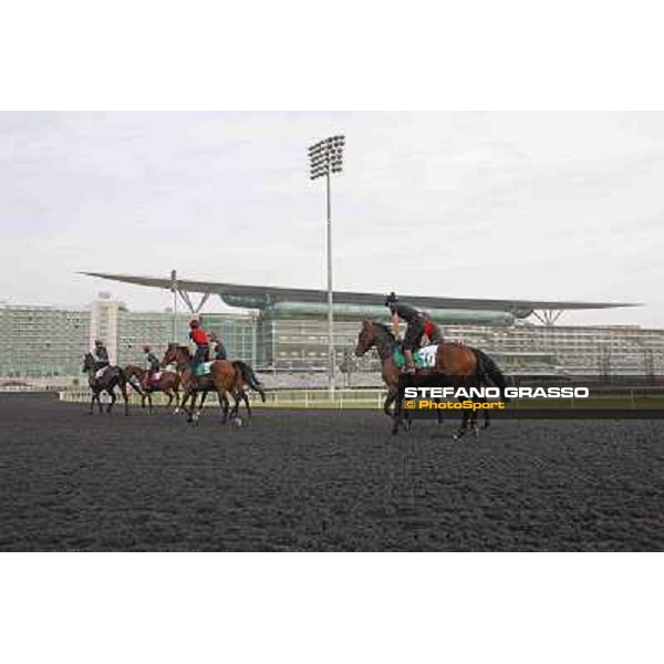 So You Think leads the Aidan O\'Brien team Meydan - morning track works Dubai, 29th march 2012 ph.Stefano Grasso