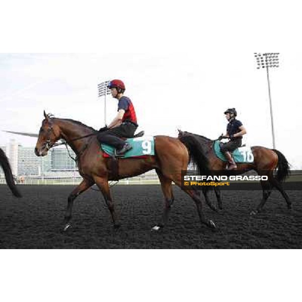 St Nicholas Abbey and Jamie Spencer on Treasure Beach Meydan - morning track works Dubai, 29th march 2012 ph.Stefano Grasso