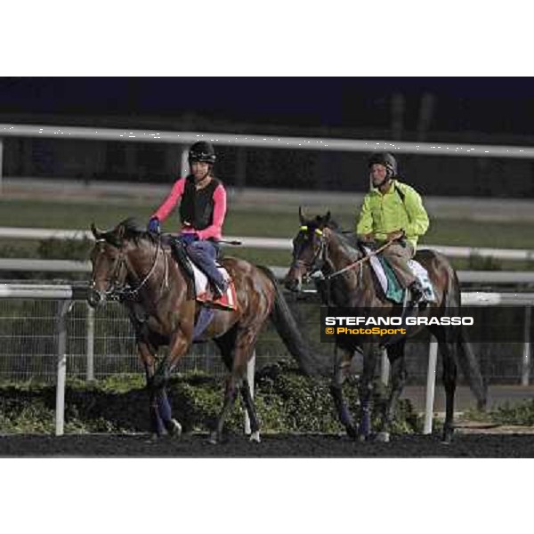 Joshua Tree and Jakkalberry Meydan - morning track works Dubai, 29th march 2012 ph.Stefano Grasso