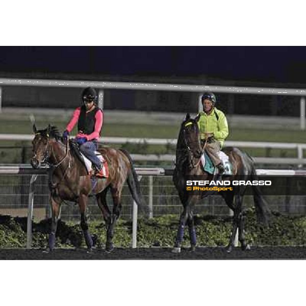 Joshua Tree and Jakkalberry Meydan - morning track works Dubai, 29th march 2012 ph.Stefano Grasso