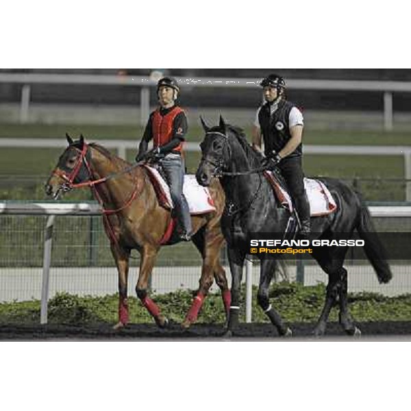 Eisnhin Flash and Smart Falcon Meydan - morning track works Dubai, 29th march 2012 ph.Stefano Grasso