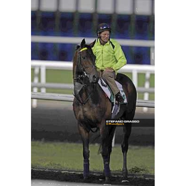 Jakkalberry Meydan - morning track works Dubai, 29th march 2012 ph.Stefano Grasso