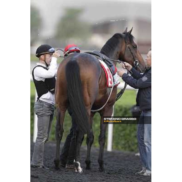 Olivier Peslier and Zazou Meydan - morning track works Dubai, 29th march 2012 ph.Stefano Grasso