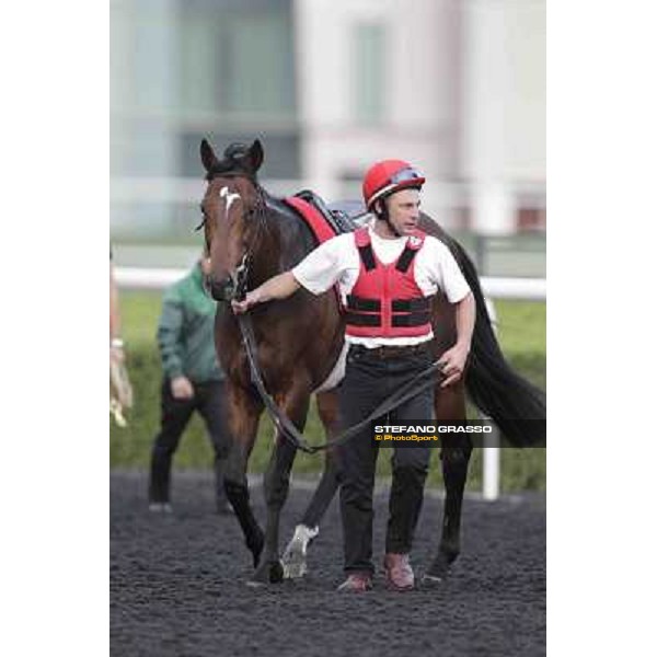 Zazou Meydan - morning track works Dubai, 29th march 2012 ph.Stefano Grasso