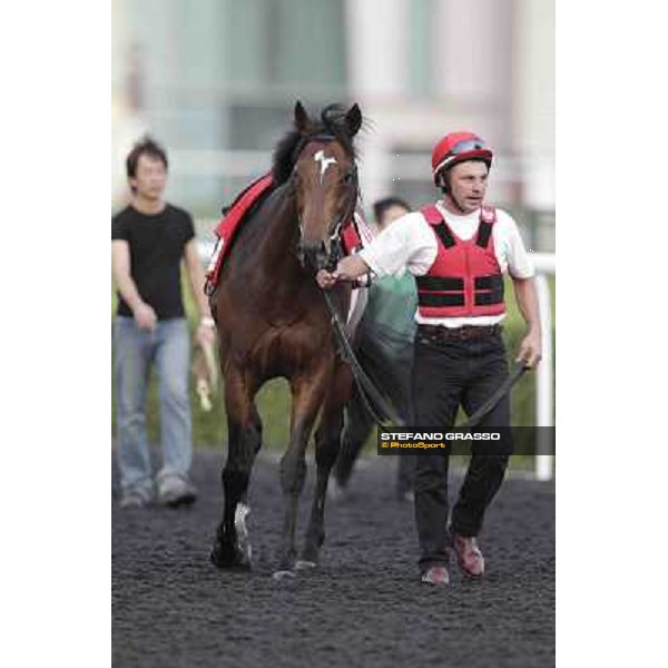 Zazou Meydan - morning track works Dubai, 29th march 2012 ph.Stefano Grasso