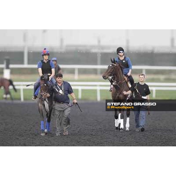 Royal Delta and Lucky Chappy Meydan - morning track works Dubai, 29th march 2012 ph.Stefano Grasso