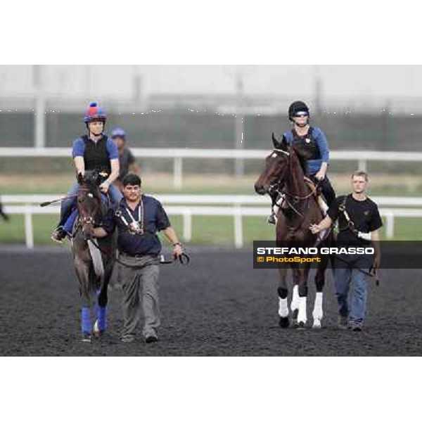 Royal Delta and Lucky Chappy Meydan - morning track works Dubai, 29th march 2012 ph.Stefano Grasso