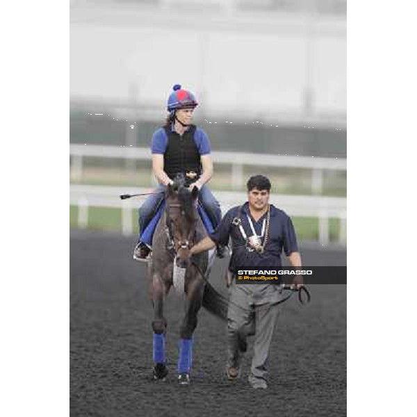 Lucky Chappy Meydan - morning track works Dubai, 29th march 2012 ph.Stefano Grasso