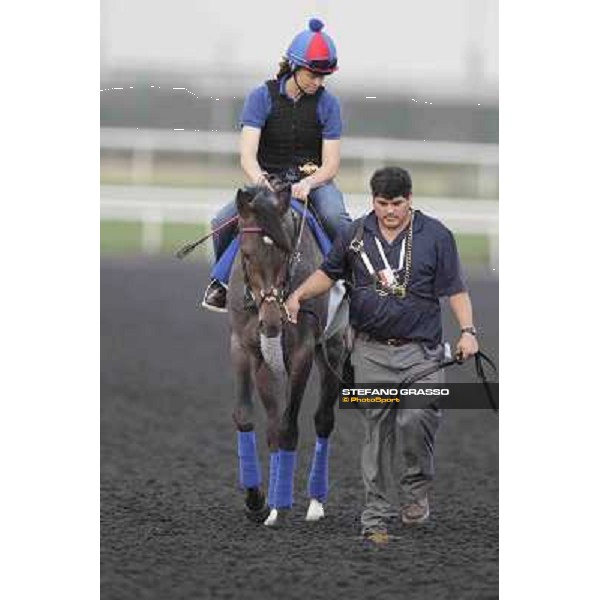 Lucky Chappy Meydan - morning track works Dubai, 29th march 2012 ph.Stefano Grasso