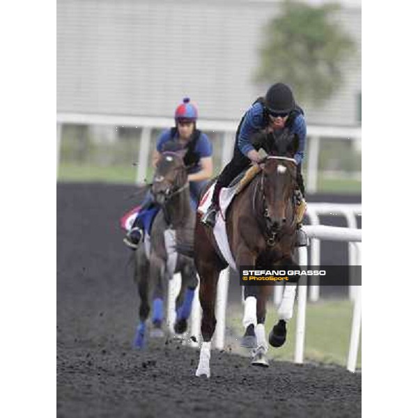 Royal Delta and Lucky Chappy Meydan - morning track works Dubai, 29th march 2012 ph.Stefano Grasso