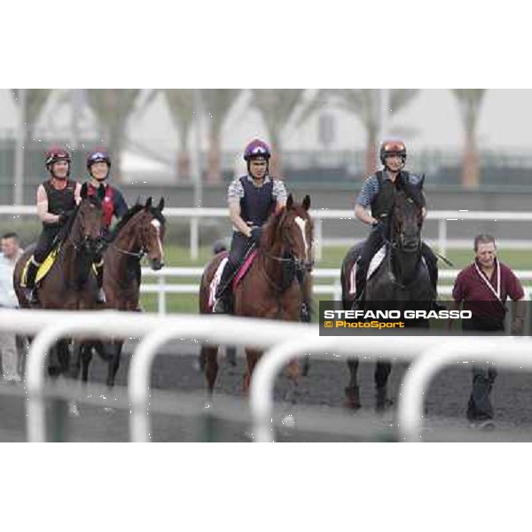 So You Think leads the Aidan O\'Brien team Meydan - morning track works Dubai, 29th march 2012 ph.Stefano Grasso