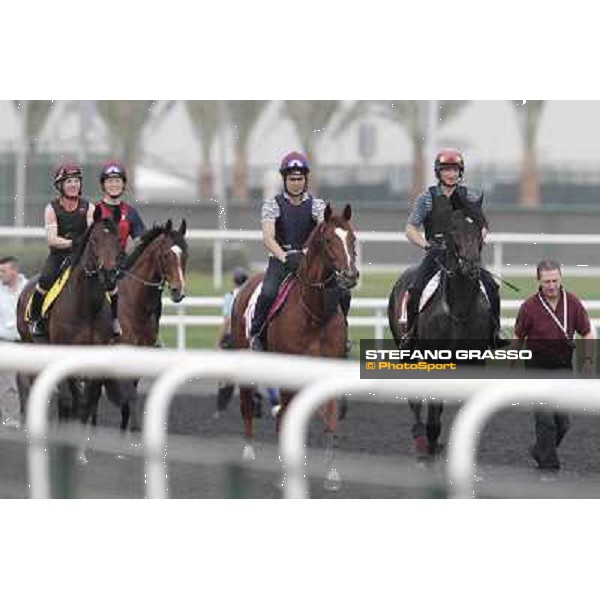 So You Think leads the Aidan O\'Brien team Meydan - morning track works Dubai, 29th march 2012 ph.Stefano Grasso