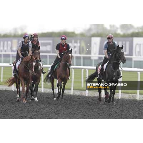 So You Think leads the Aidan O\'Brien team Meydan - morning track works Dubai, 29th march 2012 ph.Stefano Grasso