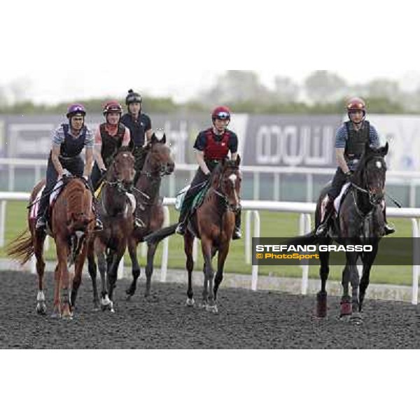 So You Think leads the Aidan O\'Brien team Meydan - morning track works Dubai, 29th march 2012 ph.Stefano Grasso