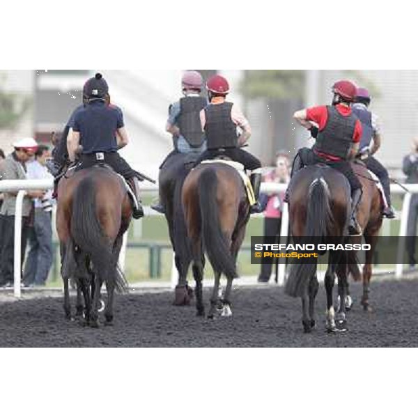 So You Think leads the Aidan O\'Brien team Meydan - morning track works Dubai, 29th march 2012 ph.Stefano Grasso