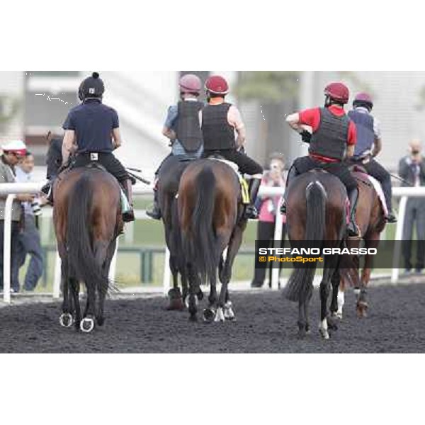 So You Think leads the Aidan O\'Brien team Meydan - morning track works Dubai, 29th march 2012 ph.Stefano Grasso