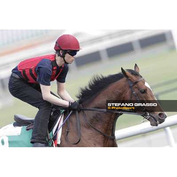 St Nicholas Abbey Meydan - morning track works Dubai, 29th march 2012 ph.Stefano Grasso