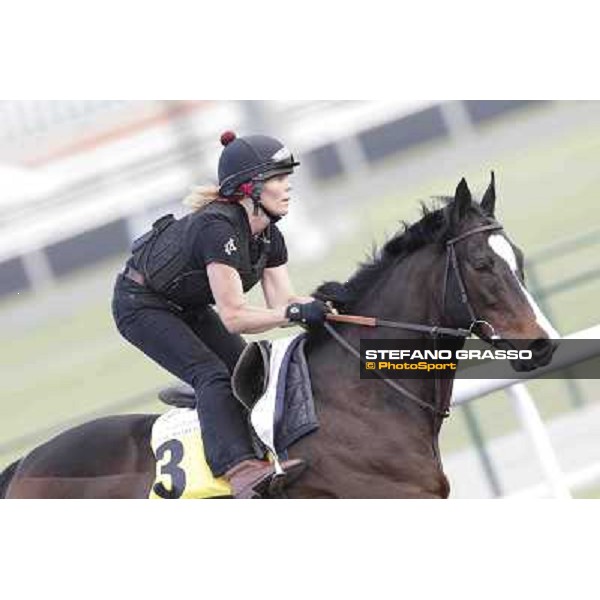 Wigmore Hall Meydan - morning track works Dubai, 29th march 2012 ph.Stefano Grasso