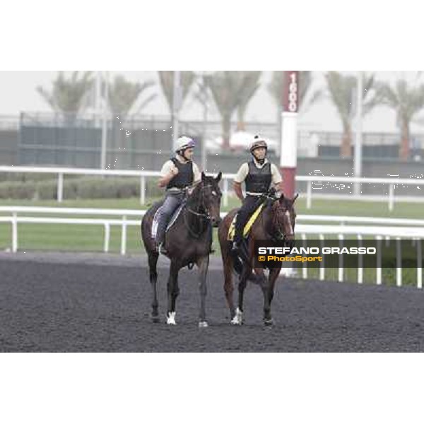 Presvis Meydan - morning track works Dubai, 29th march 2012 ph.Stefano Grasso