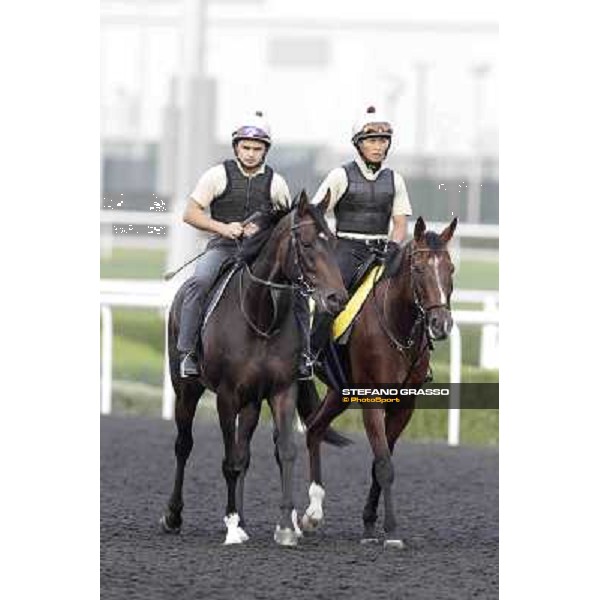 Presvis Meydan - morning track works Dubai, 29th march 2012 ph.Stefano Grasso