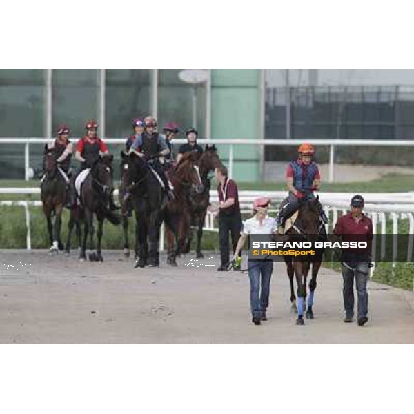 Felix Coetzee on Rocket Man Meydan - morning track works Dubai, 29th march 2012 ph.Stefano Grasso