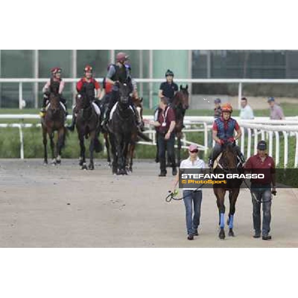 Felix Coetzee on Rocket Man Meydan - morning track works Dubai, 29th march 2012 ph.Stefano Grasso