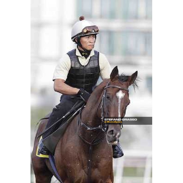 Presvis Meydan - morning track works Dubai, 29th march 2012 ph.Stefano Grasso