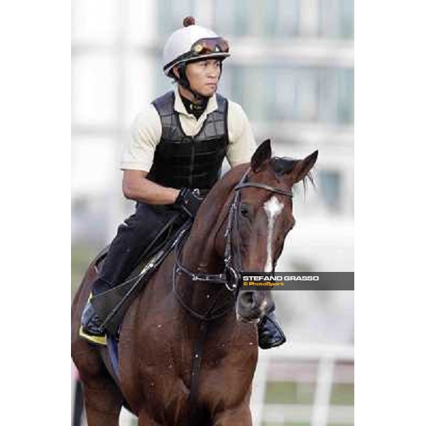 Presvis Meydan - morning track works Dubai, 29th march 2012 ph.Stefano Grasso