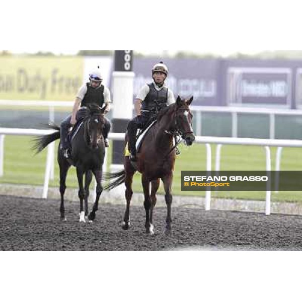 Presvis Meydan - morning track works Dubai, 29th march 2012 ph.Stefano Grasso