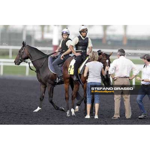 a caress to Presvis by Sara Cumani - close to them Luca Cumani Meydan - morning track works Dubai, 29th march 2012 ph.Stefano Grasso