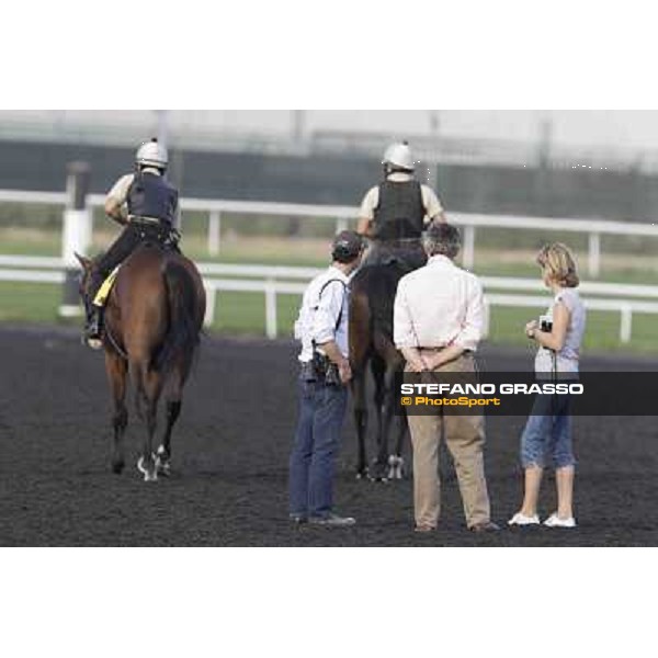 a caress to Presvis by Sara Cumani - close to them Luca Cumani Meydan - morning track works Dubai, 29th march 2012 ph.Stefano Grasso