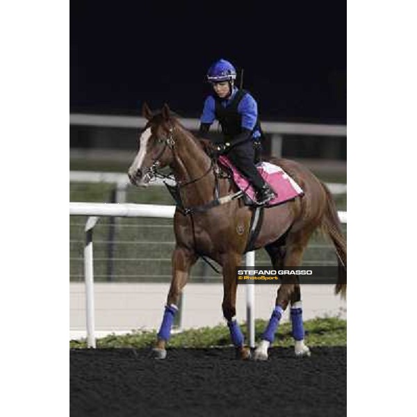 Kerrin Mc Evoy on Helmet Dubai, Meydan racecourse - 29th march 2012 ph.Stefano Grasso