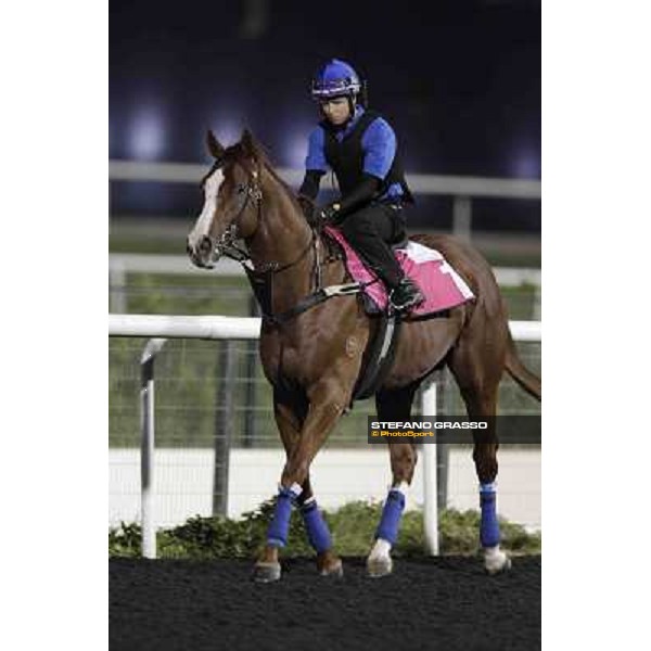 Kerrin Mc Evoy on Helmet Dubai, Meydan racecourse - 29th march 2012 ph.Stefano Grasso