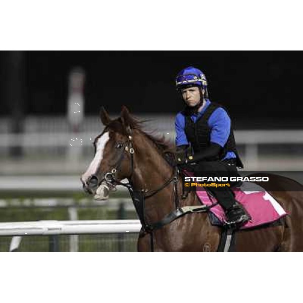 Kerrin Mc Evoy on Helmet Dubai, Meydan racecourse - 29th march 2012 ph.Stefano Grasso