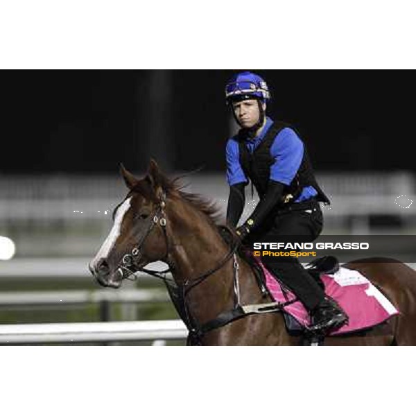 Kerrin Mc Evoy on Helmet Dubai, Meydan racecourse - 29th march 2012 ph.Stefano Grasso