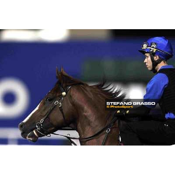 Kerrin Mc Evoy on Helmet Dubai, Meydan racecourse - 29th march 2012 ph.Stefano Grasso