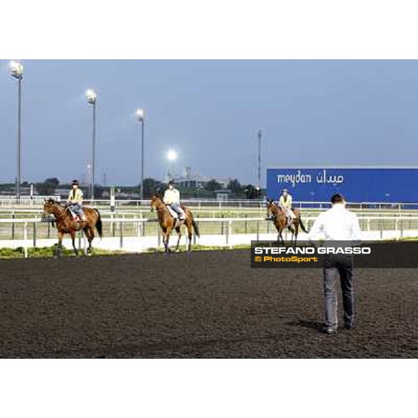 Morning track works - Marco Botti, Joshua Tree, Planteur and Jakkalberry Dubai, Meydan racecourse - 30th march 2012 ph.Stefano Grasso